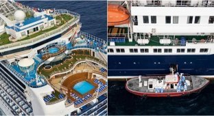 Cruise Horror 2026 (3 photos + 1 video)