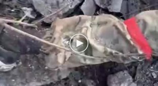 Dead orcs in the clothes of the Ukrainian military