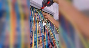 Из жизни электрика