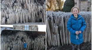 A broken water pipe turned a suburban street into an unusual forest of icicles (4 photos)