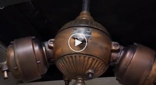 1920 Westinghouse Gyro ceiling fan