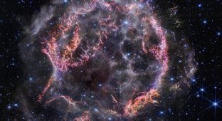 Космическая хроника #1: обзор астрономических снимков (5 фото)