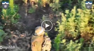Медитативные кадры прогулки оккупанта, увидевшего украинский дрон и поспешившего сдаться