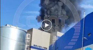 Мощный пожар в подмосковном Дзержинском
