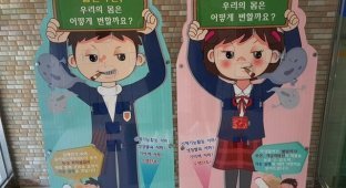 Антитабачные плакаты в школах Южной Кореи (3 фото)