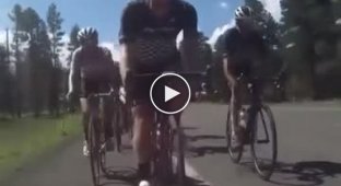 Hit a cyclist with a motorhome