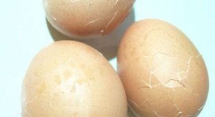 Оригинальные пасхальные яйца (13 фото)