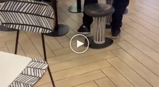 Huge rat filmed in London's McDonald's