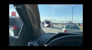 Deer running across road gets stuck under SUV in US