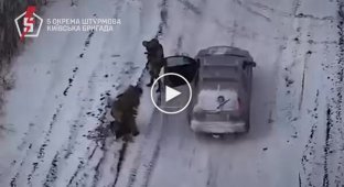 Soldiers of the 5th separate airborne brigade jump out of a car and take prisoner a Russian who was standing alone in a field