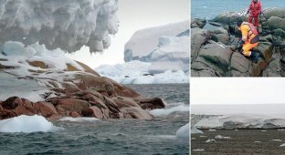 У берегов Антарктиды нашли новый остров (5 фото)