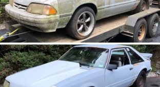 The power of cleanliness (19 photos)