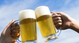 10 мифов и фактов о пиве от «Пивного сомелье» (текст)
