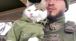 Солдат ЗСУ з котиком