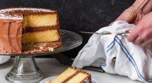 11 продуктов, которые мы неправильно резали всю свою жизнь (14 фото)