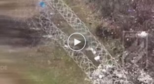 Боец выстрелами из автомата уничтожает российского штурмовика, который запутался в колючей проволоке