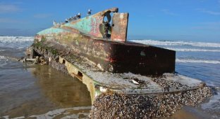 In the United States, a ghost ship washed ashore with delicacies on board (5 photos)