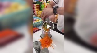 Great food processor for home