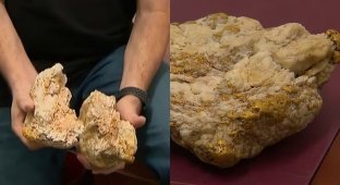 Australian found a huge gold nugget (4 photos + 1 video)
