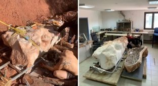 The Frenchman found the intact skeleton of a giant dinosaur (5 photos)