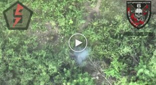 Украинский дрон сбрасывает ВОГи на российскую пехоту на Бахмутском направлении