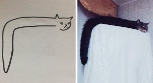 Кто сказал, что вы не умеете рисовать котиков? (26 фото)