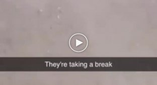 Вимушене перемир'я для сну