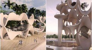 На Филиппинах построят эко-здания в форме кораллов (12 фото)