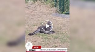 Нашел себе достойного противника