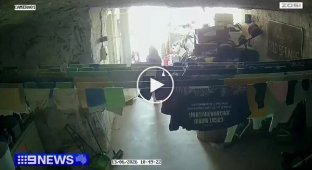 Кенгуру cбил с ног девочку