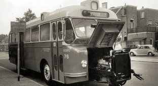 Автобус DAF Domburg с моторным отсеком в стиле выдвижного ящика (4 фото)