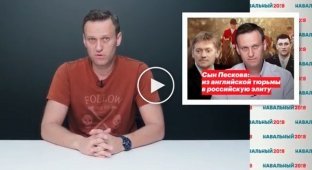 Как Навальный заработал денег на журналистах с LifeNews