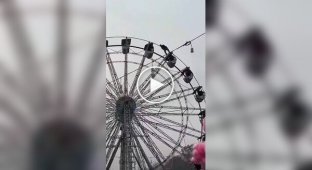 Indian Spider-Man