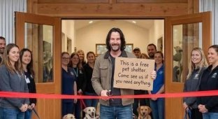 Киану Ривз открыл крупнейший в мире бесплатный приют для кошек и собак (5 фото)
