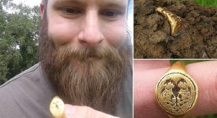 Любитель-кладоискатель откопал кольцо за $15 000 (5 фото)