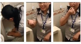Их нравы: чтобы доказать, что туалет чист, сотрудница пищевой компании поела из писсуара (4 фото)