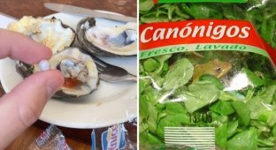 17 Unexpected Finds People Found in Everyday Food (18 Photos)