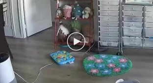 Поки господиня не бачить