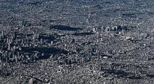 A Bird's Eye View of Tokyo (6 photos)