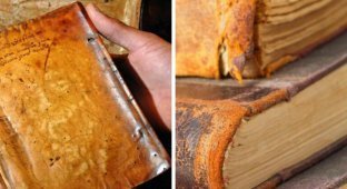 A book made of human skin was found in the Harvard library (7 photos)