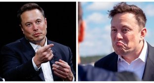 Elon Musk was offered to go to rehab and “dry off drugs” (4 photos)