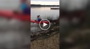 “Sit with me”: the dog didn’t let his owner go kayaking