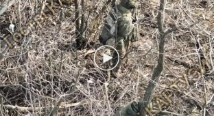 Russian invader dies in a copse among a pile of garbage due to a precise munition drop