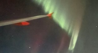 The pilot turned the plane so that passengers could admire the northern lights (5 photos)