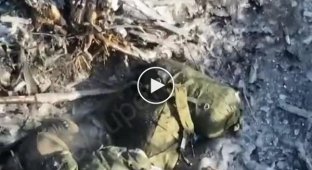 An occupier dies after the explosion of a grenade dropped from a Ukrainian drone