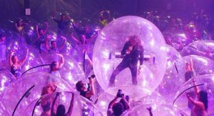 Прикольные картинки. Выпуск 3201