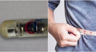 Scientists have created a vibrating capsule against obesity (5 photos)
