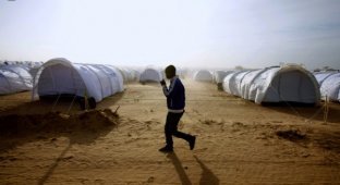 Беженцы из Ливии пребывают в плачевном положении (59 фото)