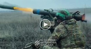 3 ОШБр розбила колону окупантів на Харківщині. Ворог втратив 20 одиниць техніки