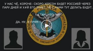 Они Вас как мясо туда